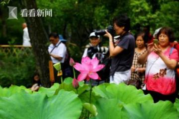 盛夏游园指南发布申城公园七月活动精彩纷呈