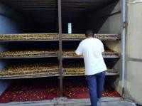 湖南祁东:烟草烤房飘枣香一房多用助增收
