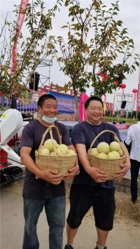 农民庆丰收《喜悦》在歌中