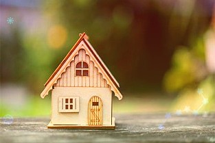 天禾股份:子公司拟投资1.34亿元参与丝苗米产业园项目建设